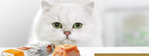 25% Rabatt für Neukunden bei Zooplus auf Gourmet-Katzenfutter
