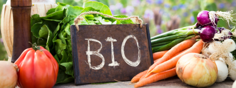 Motatos Gutschein: Bis zu 81% Rabatt auf Bio-Produkte Motatos Gutschein: Bis zu 81% Rabatt auf Bio-Produkte